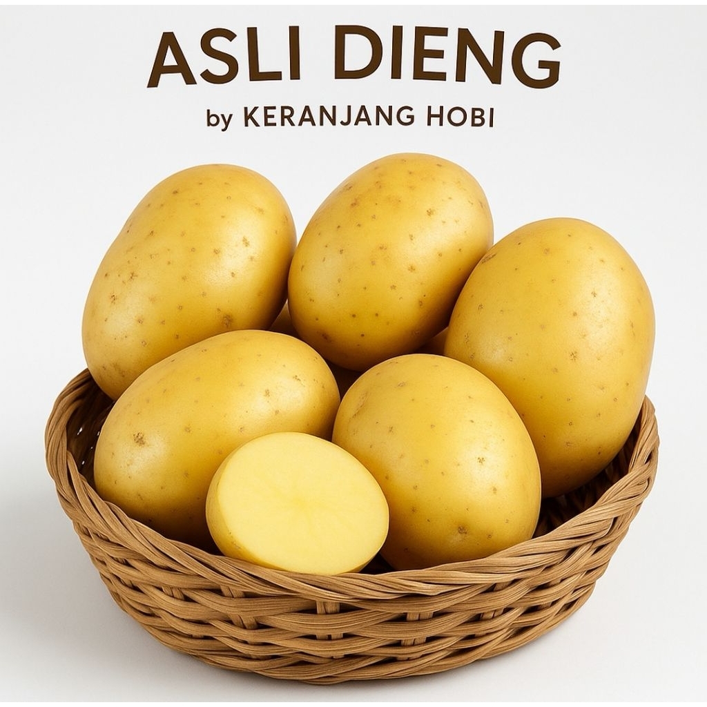 

kentang super dieng kuning langsung dari petani