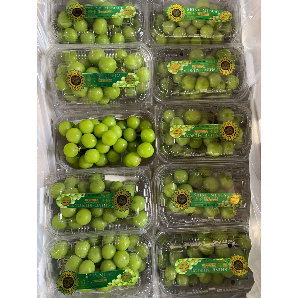 

muscat pack 500gr promo