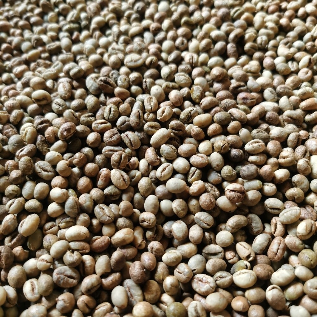 

Greenbean Robusta Lampung Peaberry Lanang grade 1 1kg
