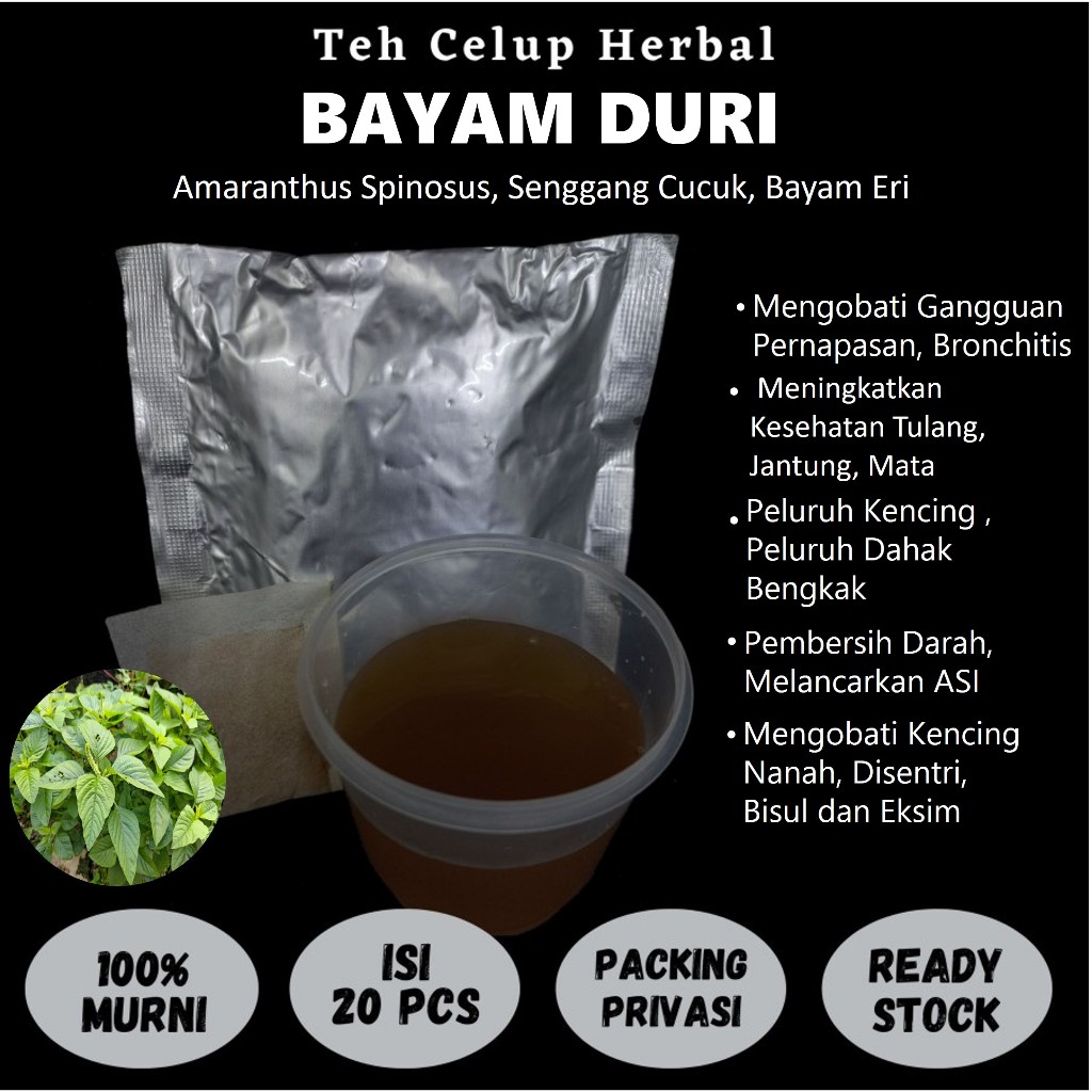 

Teh Celup Herbal BAYAM DURI Melancarkan ASI Mengobati Disentri Bisul Gangguan Pernapasan Bronchitis