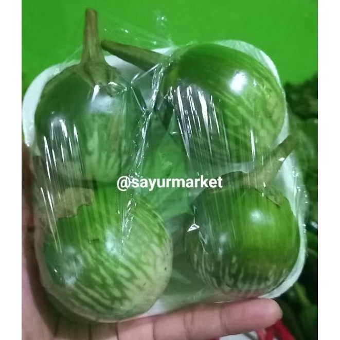 

TERONG HIJAU/ TERONG COEL 1 pack