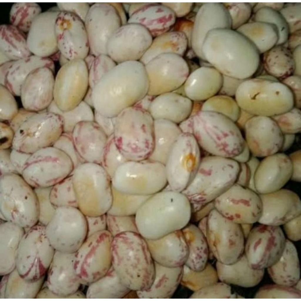 

Kacang endul per 250gr