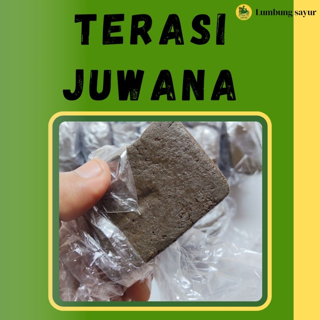 

Terasi Udang Rebon Asli 100% Khas Pati Juwana – Tanpa Campuran | 100g | Sambal & Kerupuk