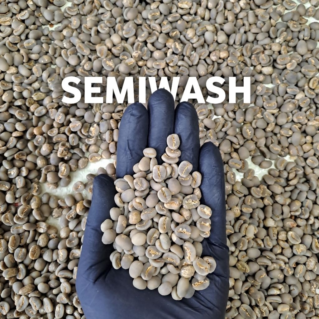 

Green Bean Arabica Gayo Semiwash G1 | Yong Coffee