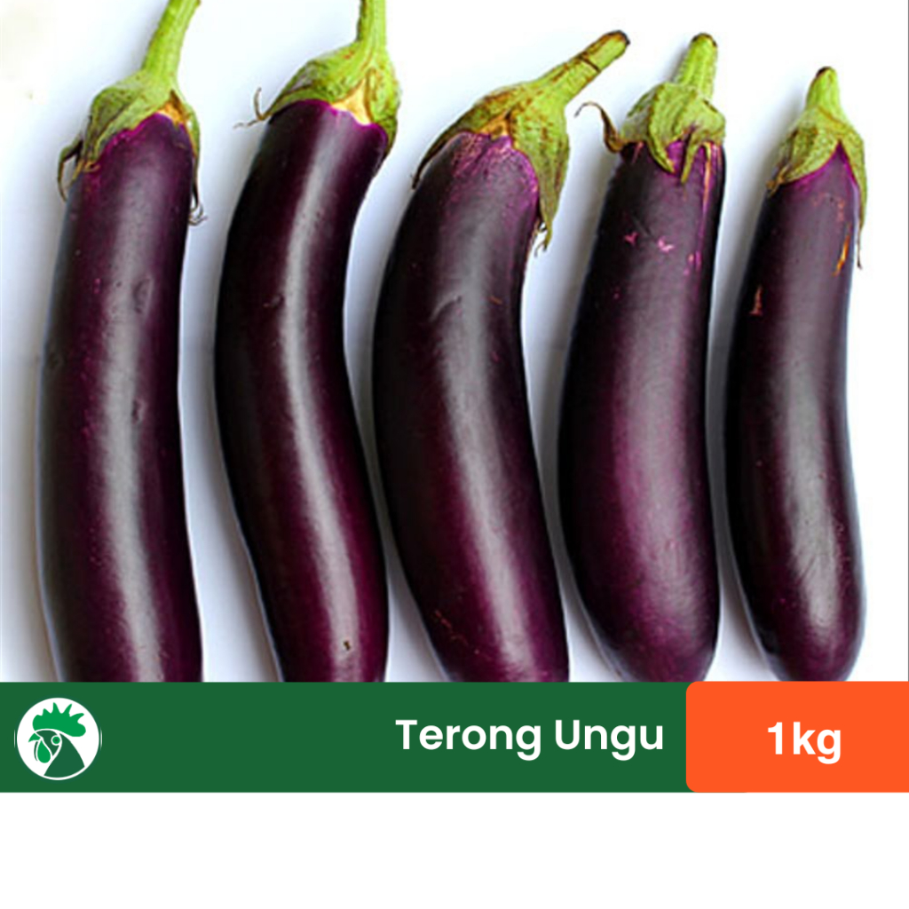 

Terong Ungu | Sayur Terong 1kg