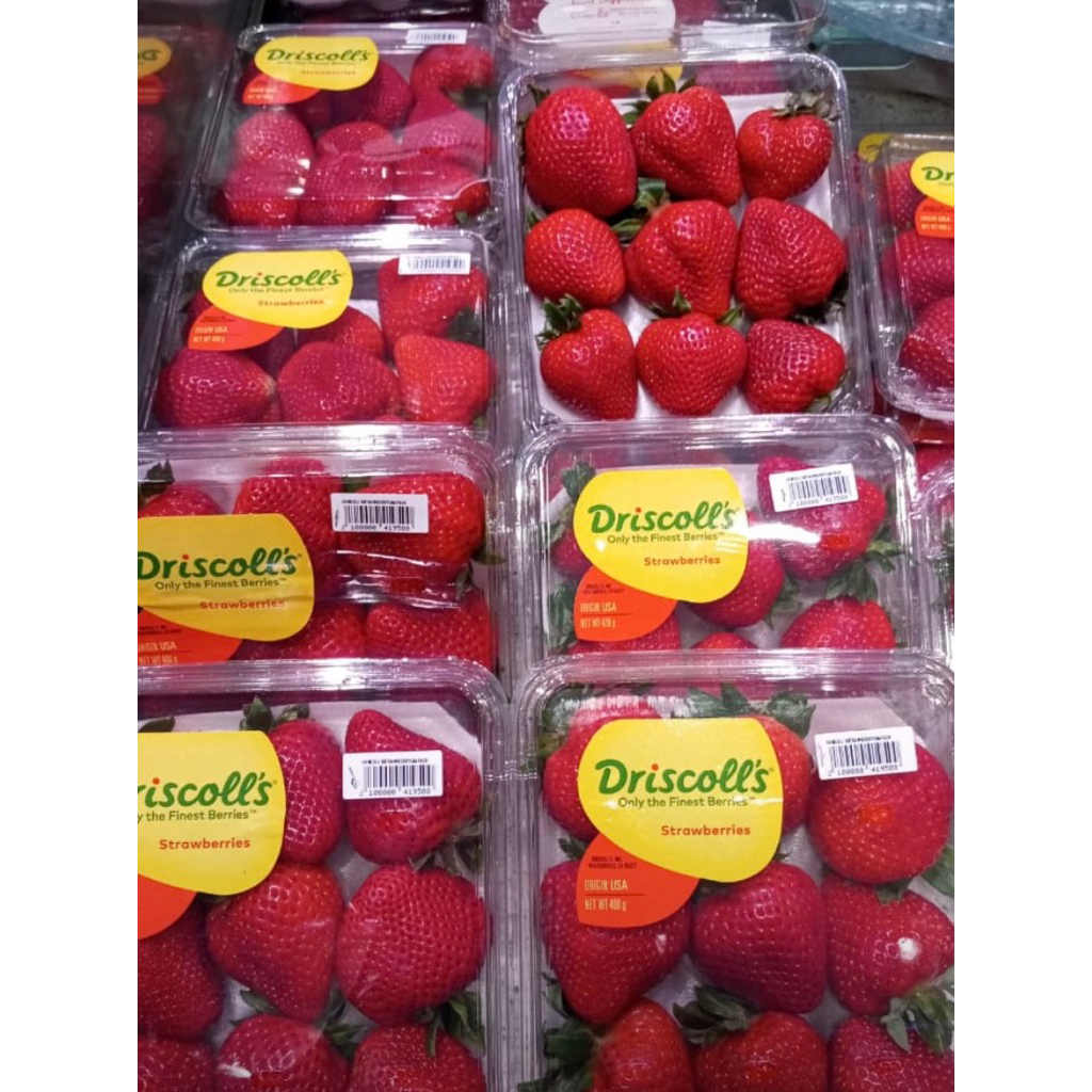 

Driscoll's Strawberry Jumbo Driscol Manis Kemasan Jumbo 400 Gram Buah Strawberi Segar