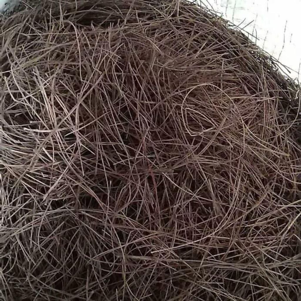 

Daun pinus kering natural 500gram