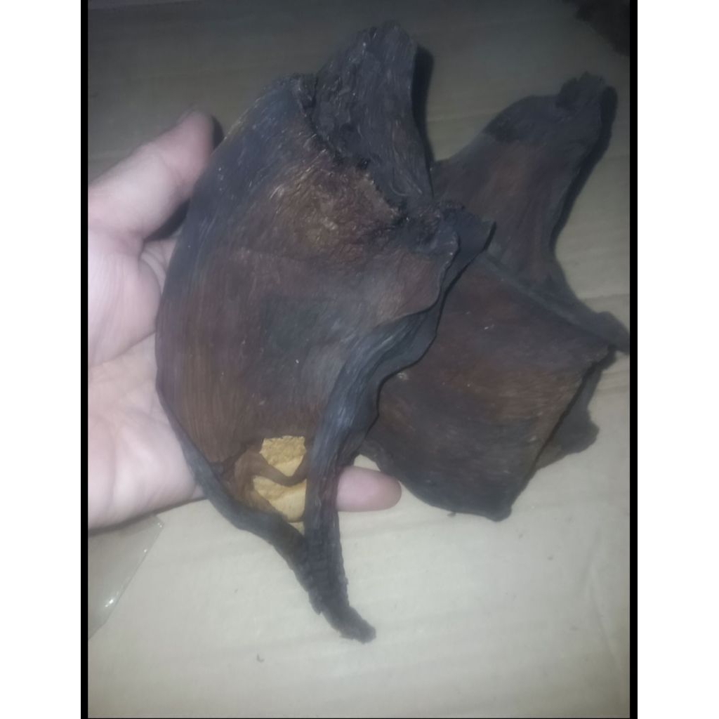 

REBUNG MUDA(BAMBU PETUNG MUDA) KERING SUPER TEBAL