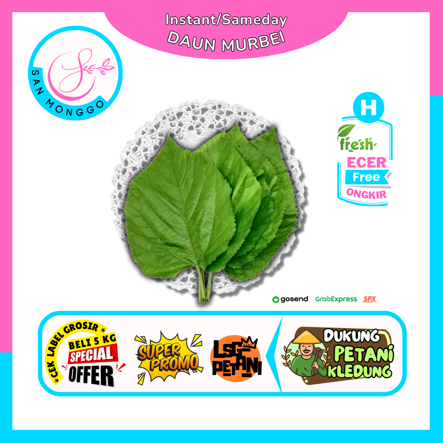 

Sanmonggoo >> Daun Murbei Murberry Organik Top Antioksidan -- Hasil Bumi Sindoro Sumbing Ecer (H)