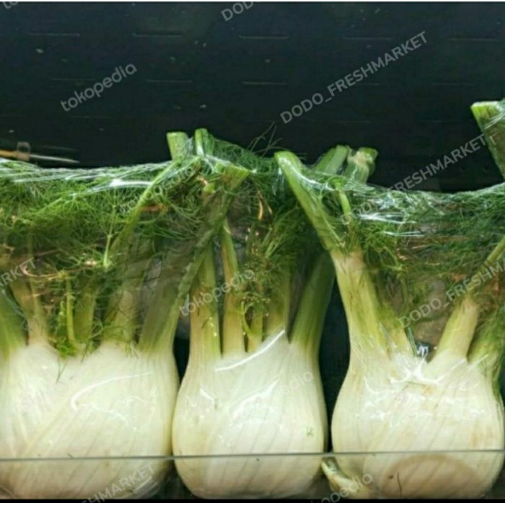 

fennel Australia fresh 1kg