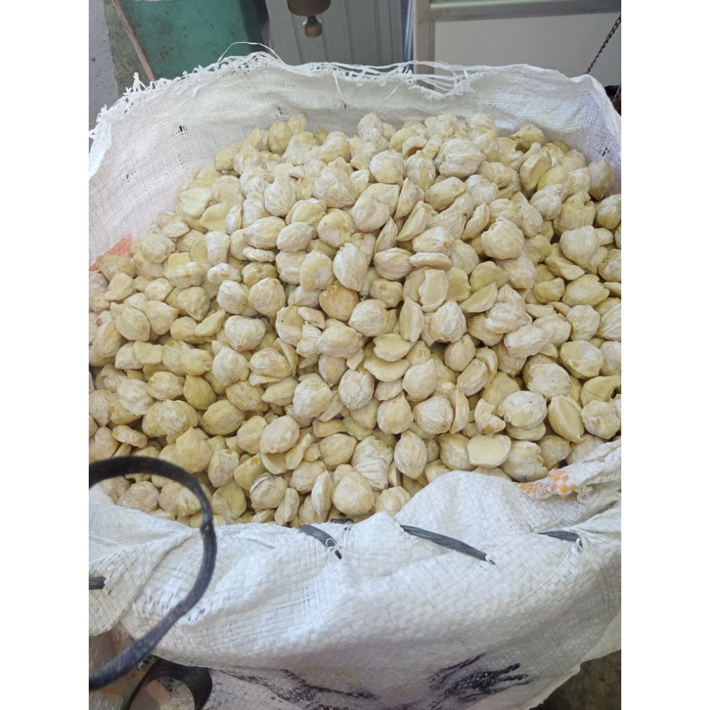 

Kemiri Super