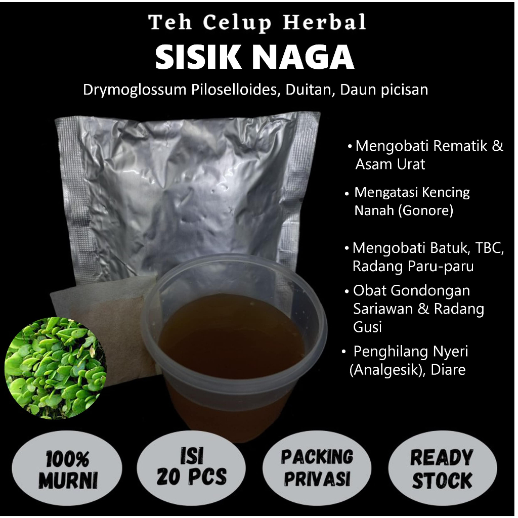

Teh Celup Herbal SISIK NAGA Mengobati Batuk TBC Paru-paru Keputihan Sakit Kuning Penghilang Nyeri