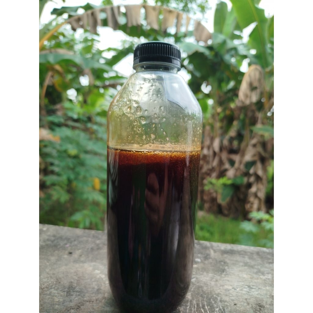 

Madu Hitam Pahit 1 kg dari Madulicious
