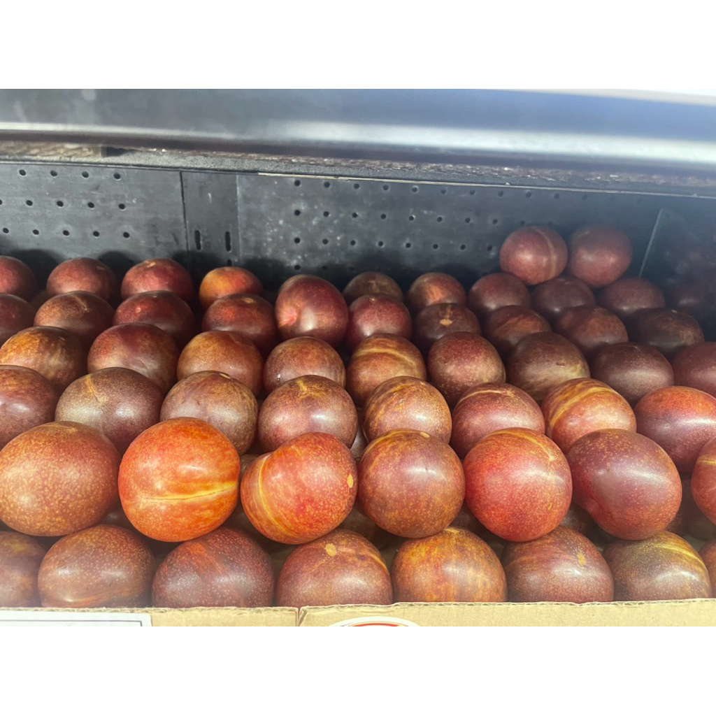 

Buah Pluot Queen | Buah Manis Lembek Flavour 1 Kg