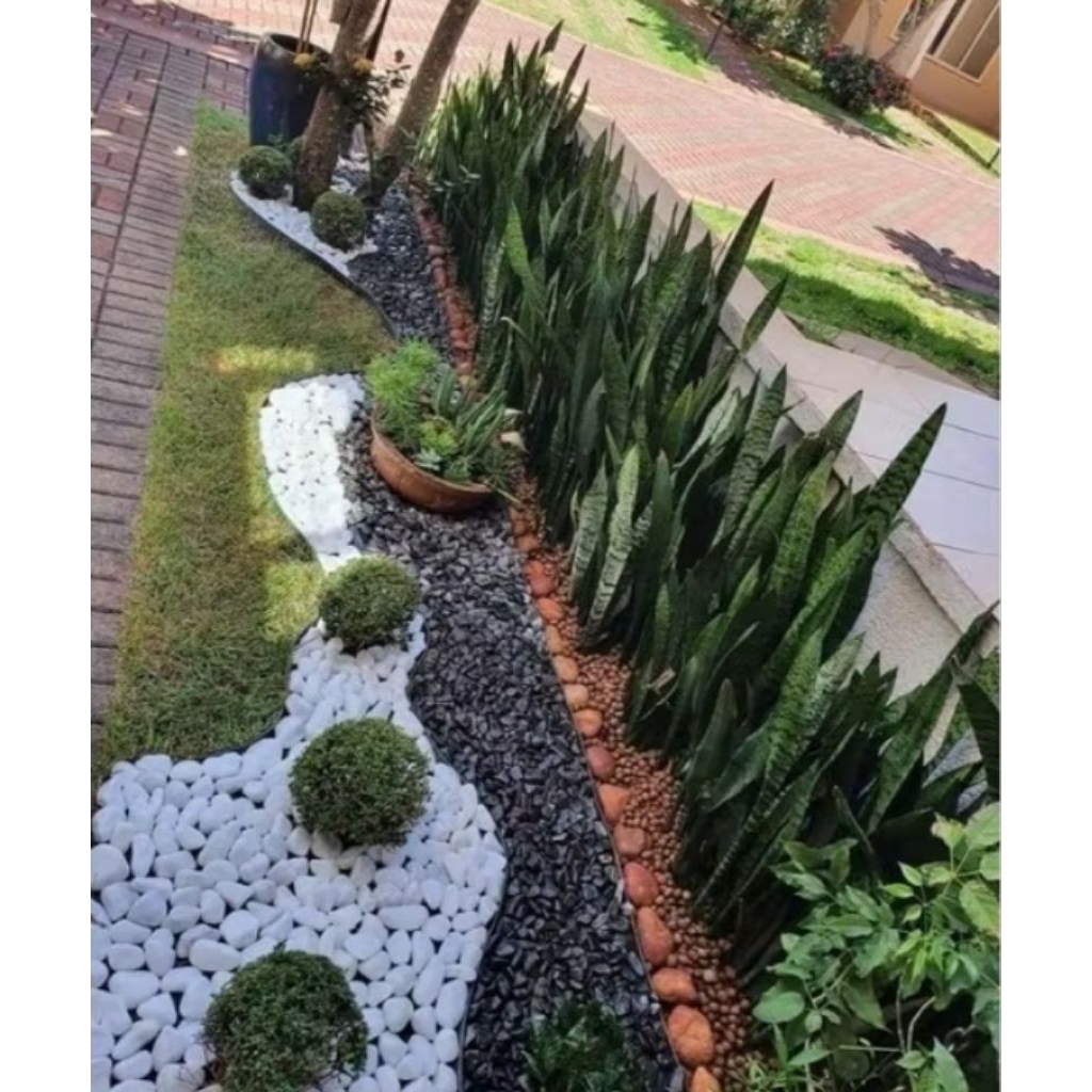 Taman minimalis depan rumah