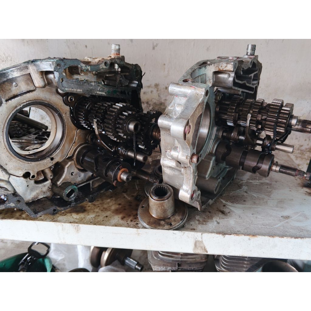 rasio set Megapro tiger