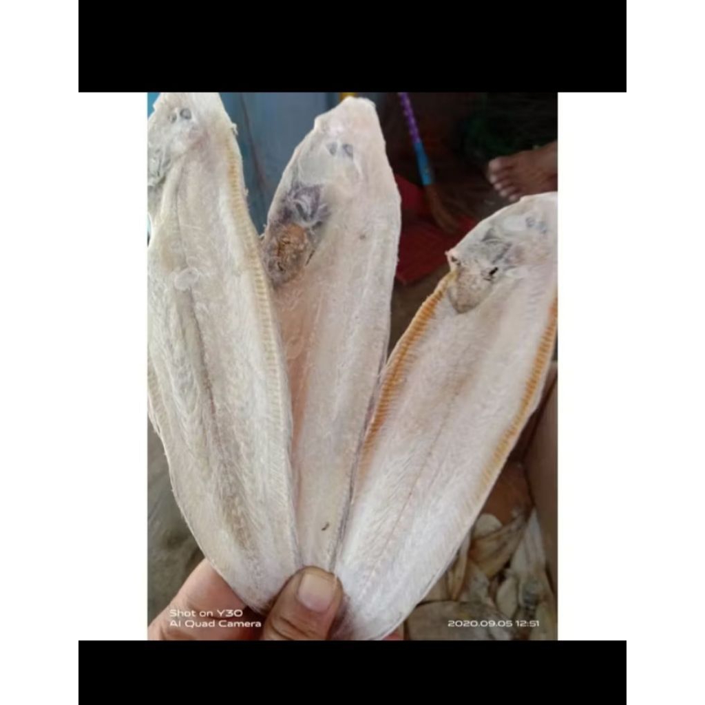 

ikan ilat asin/ikan sebelah asin/ikan pipih asin 500g