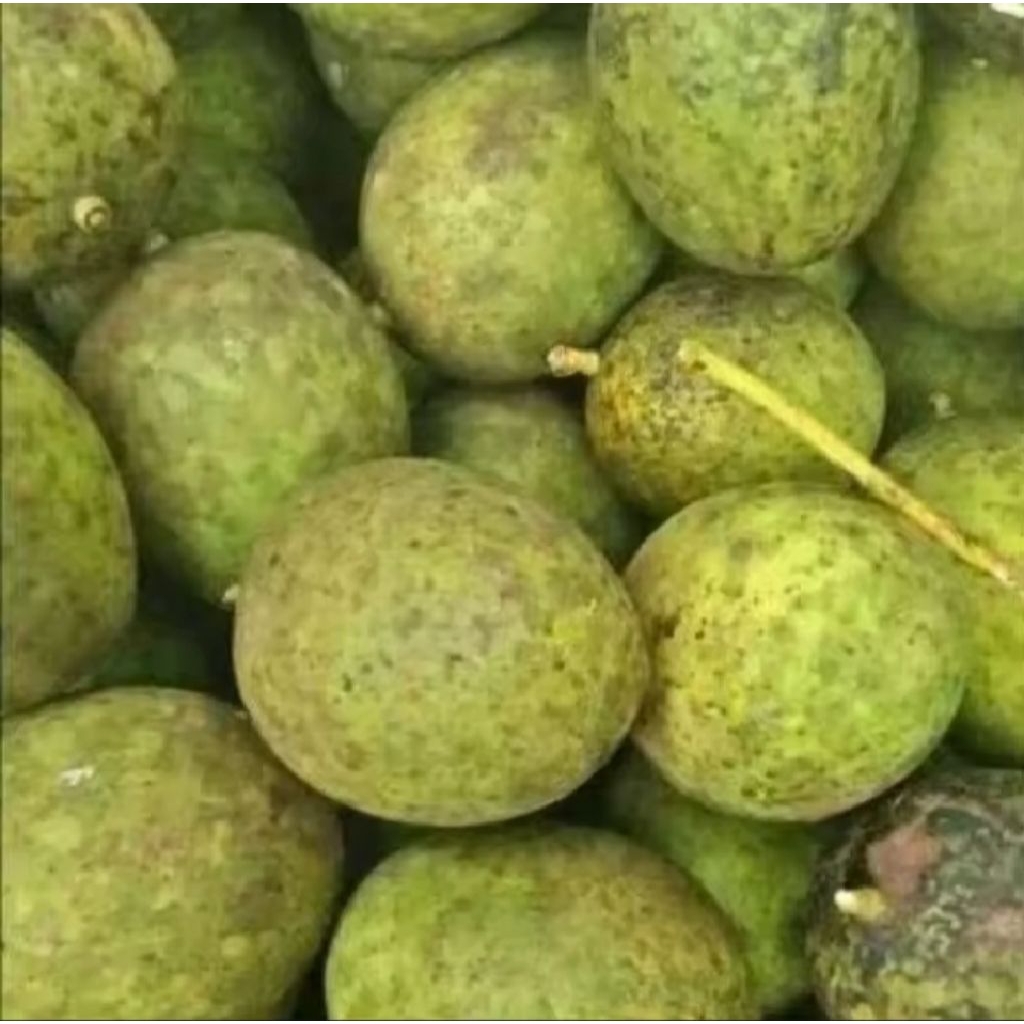 

buah limus muda/pakel /500gr