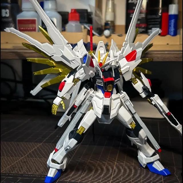 XFS HG 1/144 Mighty Strike Freedom Fighter Xuanfeng Model kit