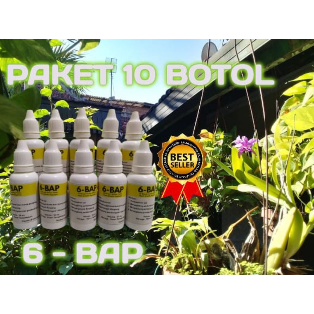 °PAKET HEMAT 10 BOTOL SUPER MURAH°•HORMON ANGGREK 6 BAP KUNING 30ML•(Cocok untuk Penumbuh Tunas & Pe