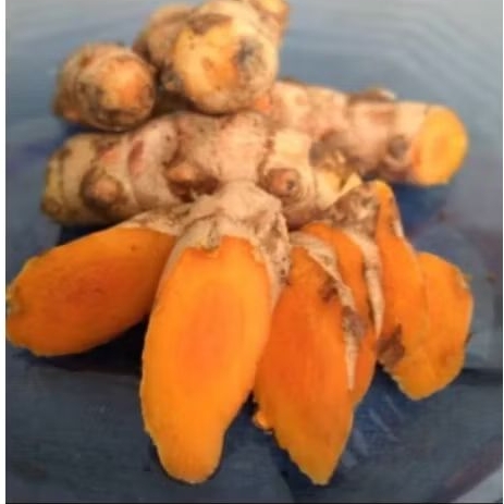 

Temulawak segar 1 kg bersih