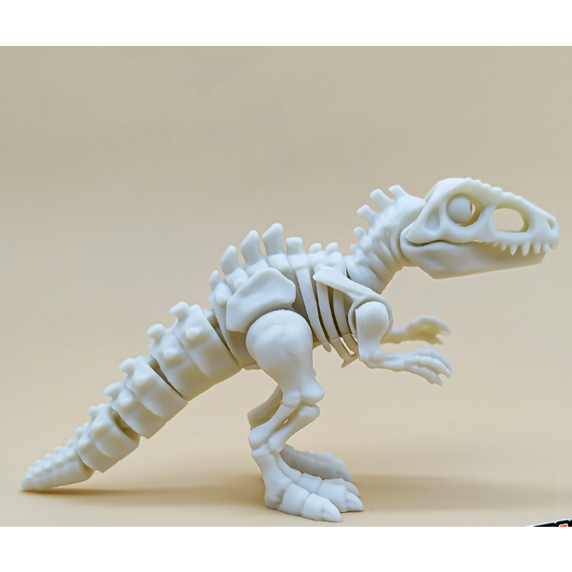 Cuero Mainan Artikulasi Skeleton Dinosaurus Giganotosaurus Kerangka