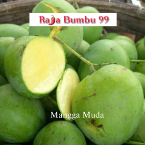 

Mangga Muda 1kg