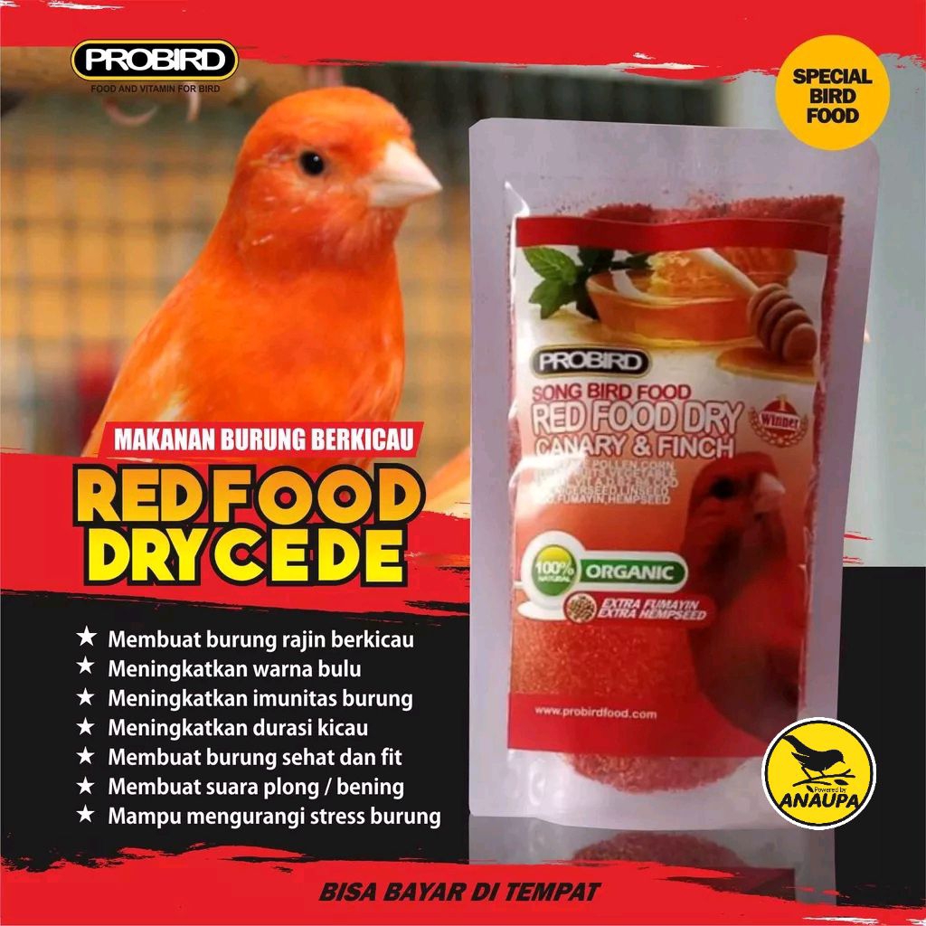 CEDE RED FOOD DRY UNTUK KENARI DAN RED SISKIN PERSATUAN SASET