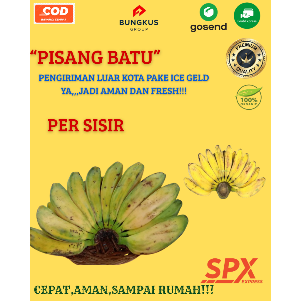 

Pisang Batu Kepok Merah Kuning per Sisir Buah Segar Jus Sehat Fresh Bungkus Group Shop Padang