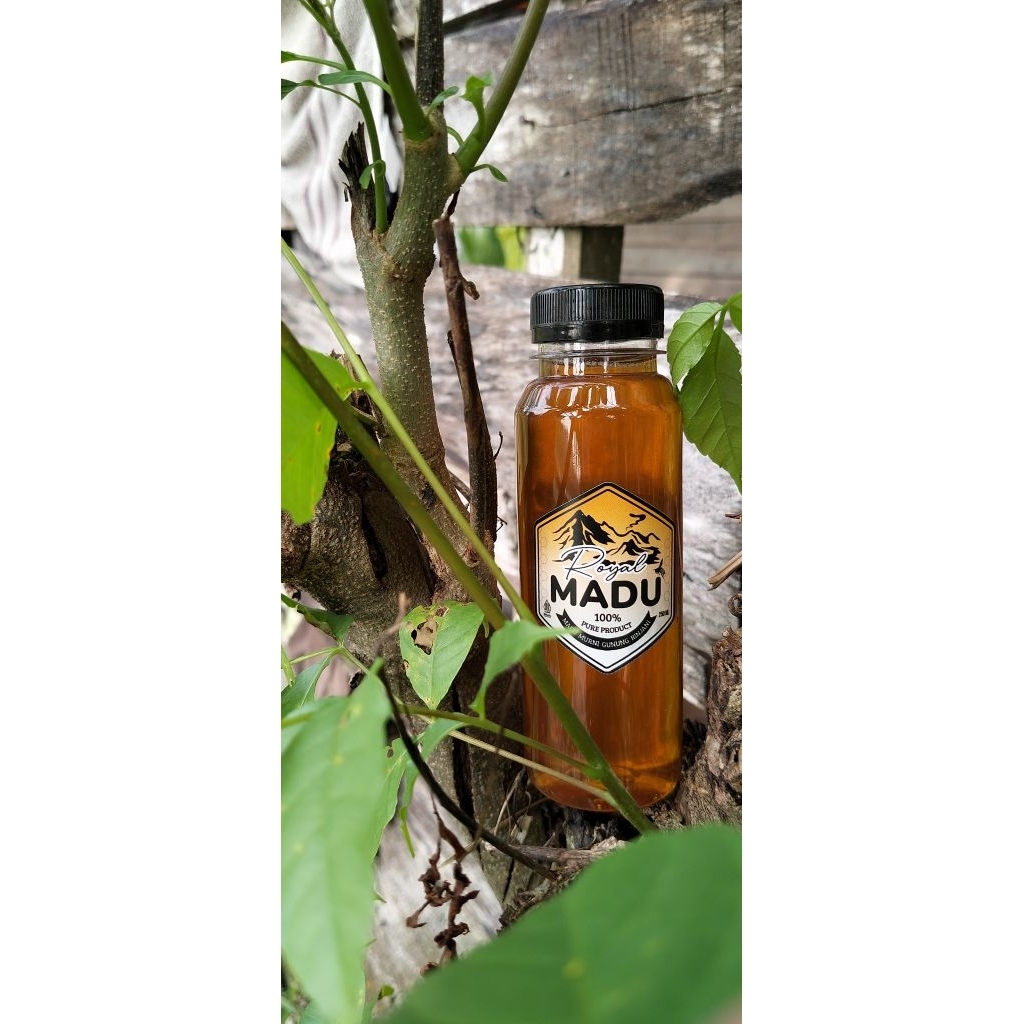 

Madu asli hutan royal madu | Madu murni 100% gunung rinjani 250ml