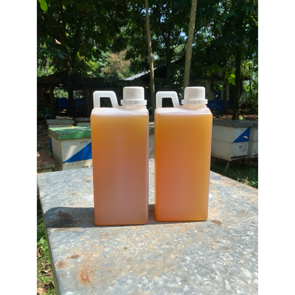 

MADU HUTAN LIAR SUPER MURNI ASLI 100% TERMURAH