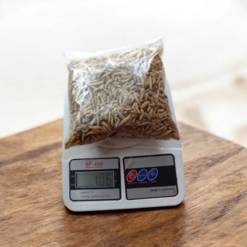 Magot kering BSF/maggot kering 100 gr/Magot kering