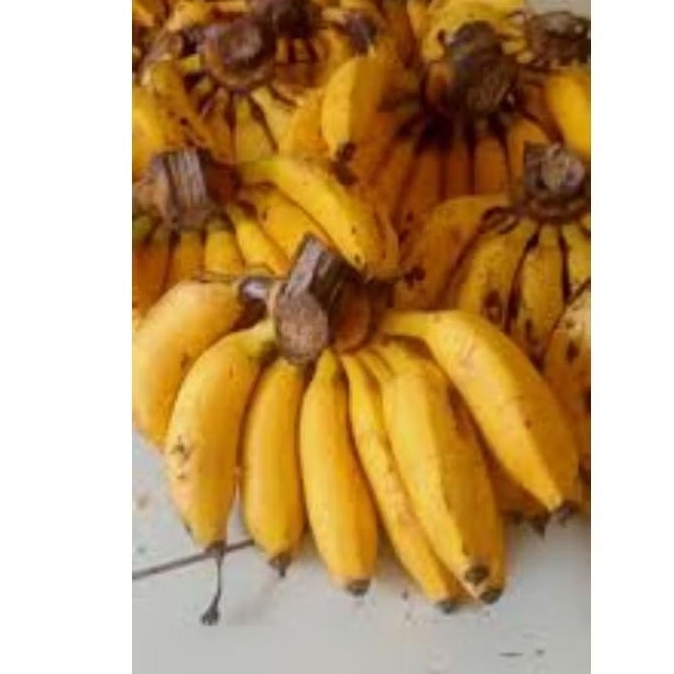 

BUAH PISANG ULI 1KiLO