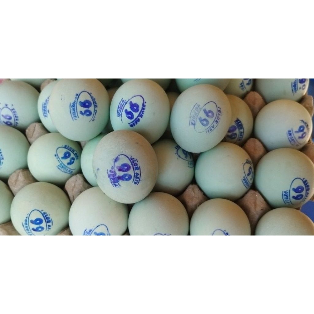 

Telur Asin 99 Pengkol