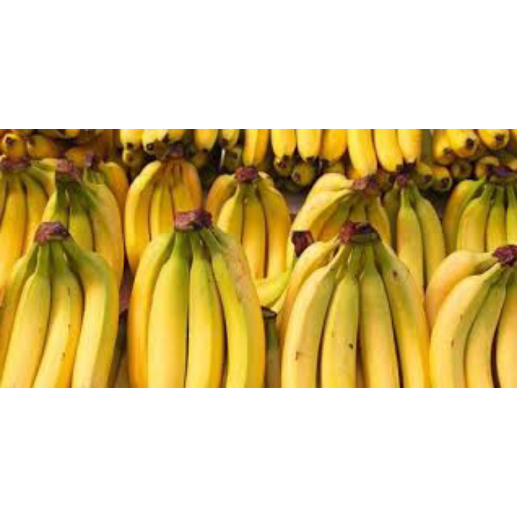 

pisang cavendish buah segar dan berkualitas