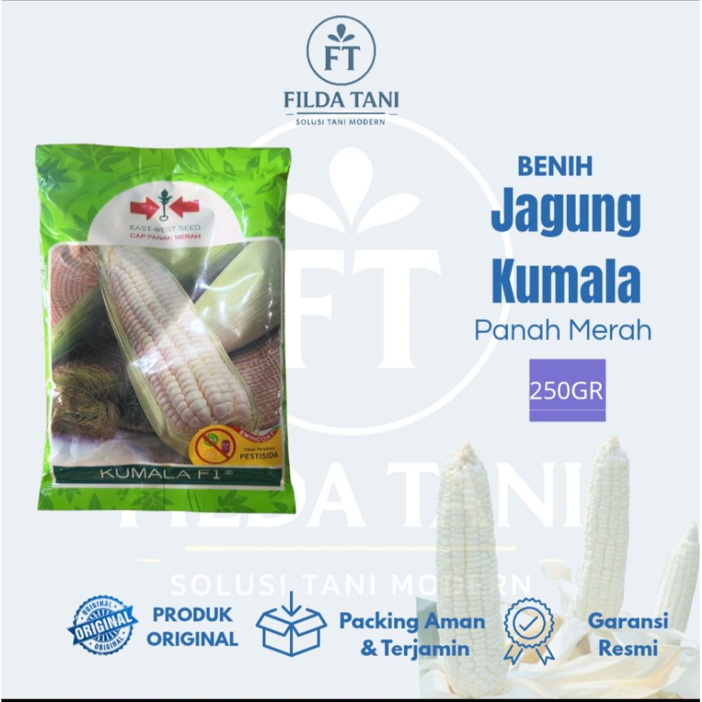 

Cap Panah Merah — Benih Jagung KUMALA F1 Hibrida/pulut manis 250 Gram