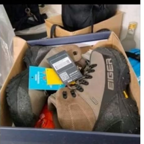 sepatu eiger egle plum