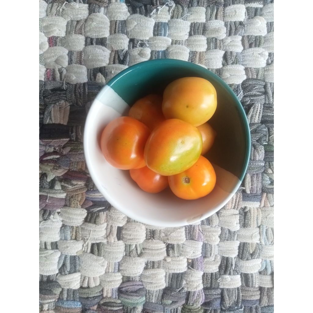 

Tomat Segar Fresh Kiloan 1/4 kg 250gr - Aneka Sayuran