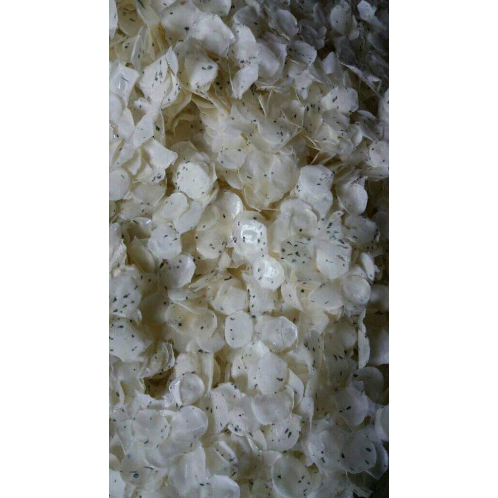 

opak koin asli dari singkong pilihan