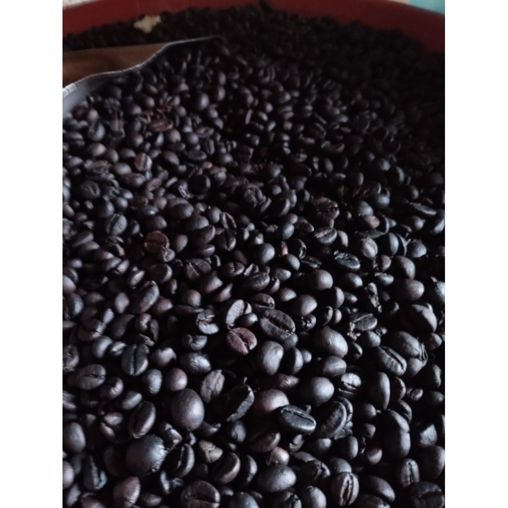 

biji kopi sangrai robusta Lampung