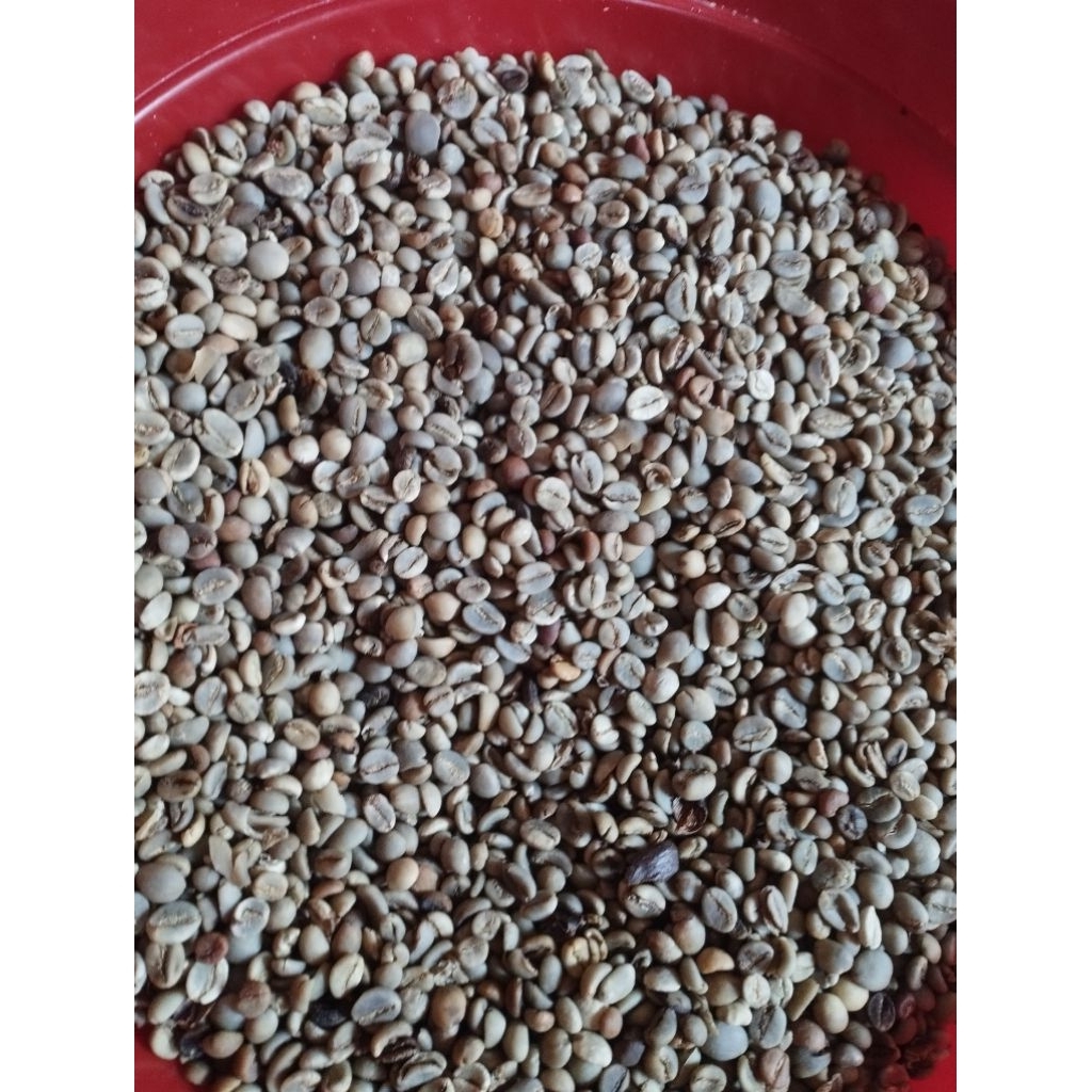 

biji kopi robusta