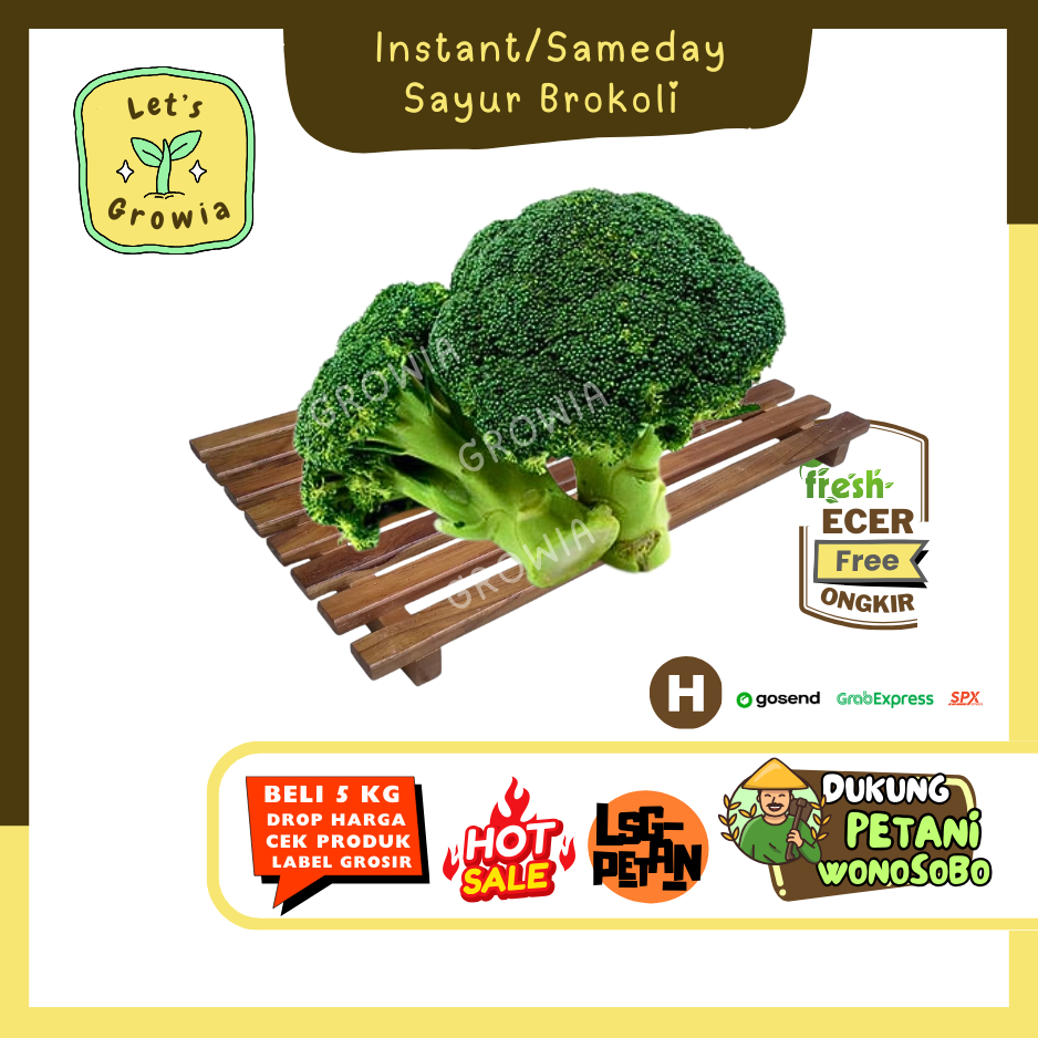 

Growia || Brokoli Segar Fresh -- Hasil Petani Langsung Ecer (H)
