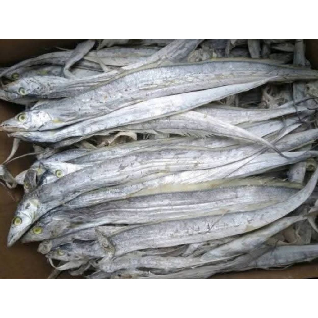 

ikan balelang Medan/ikan parang2 500 gram kering mentah