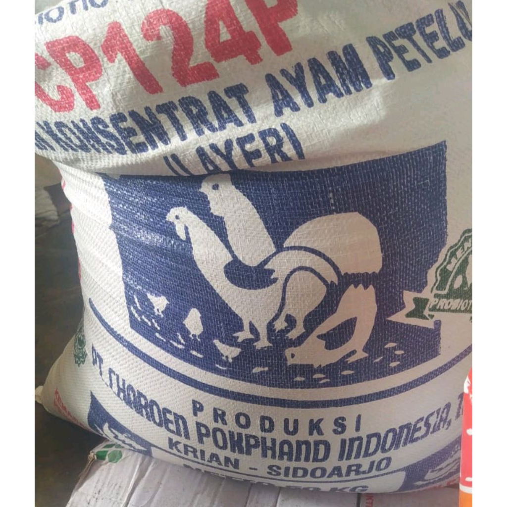 Konsentrat Ayam Petelur CP124P POKPHAND 500 Gram