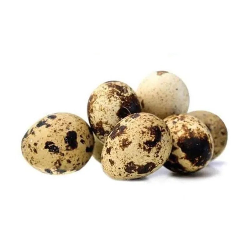 

Telur Puyuh Telor Burung Puyuh 1 kg