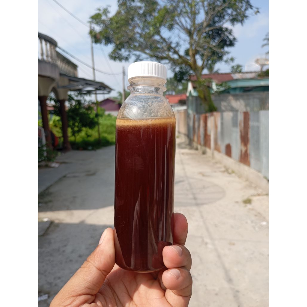 

Madu hutan liar sialang merah