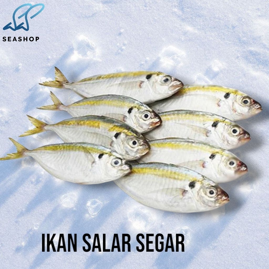 

Ikan Selar Segar