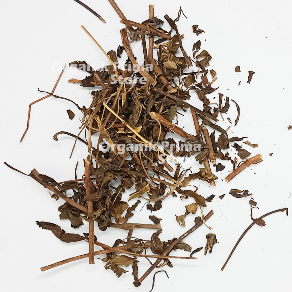 

Daun Kumis Kucing Kering 500gr Asli Bersih dan Organik