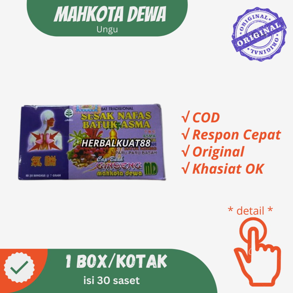 MAHKOTA DEWA SESAK NAFAS