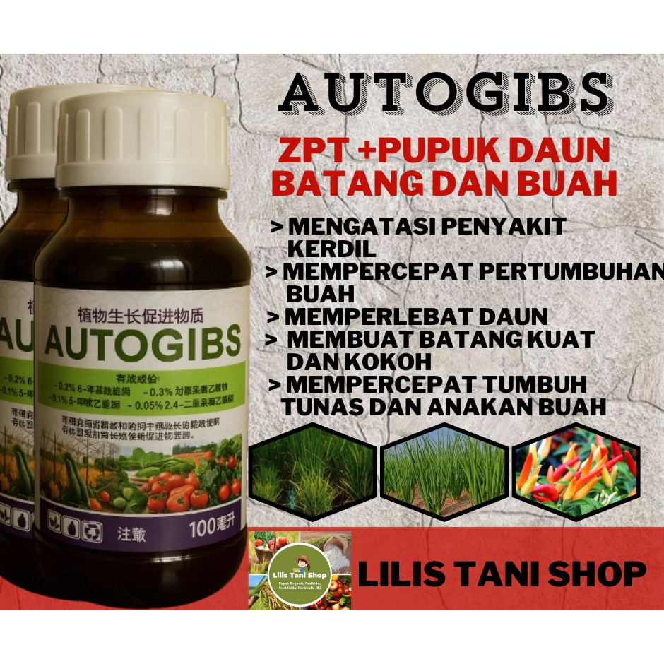 autogibs ZPT, AUTOGIBS PUPUK MENGOBATI PENYAKIT KERDIL PADI ASAM-ASAMAN DAN PERTUMBUHAN